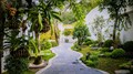 Sân vườn đón Tết đẹp như cổ tích của chủ nhà tại Cổ Nhuế