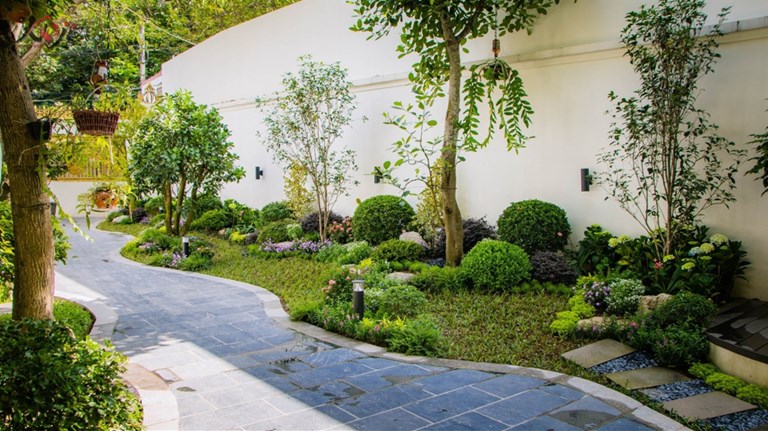 Sân vườn đón Tết đẹp như cổ tích của chủ nhà tại Cổ Nhuế