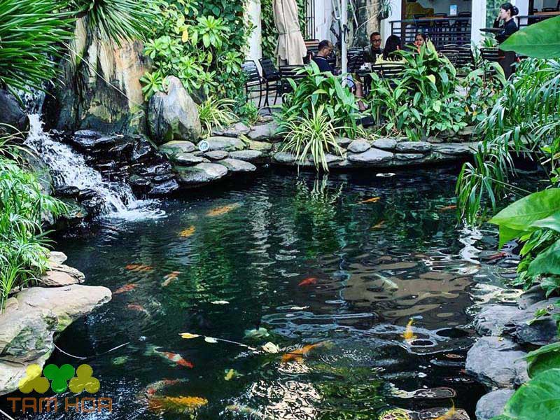 Hồ cá Koi sân thượng mang thiên nhiên vào ngôi nhà của bạn