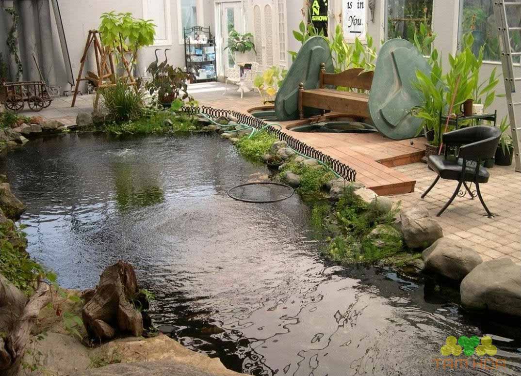 Hồ cái Koi Mini trong nhà đang trở thành xu thế