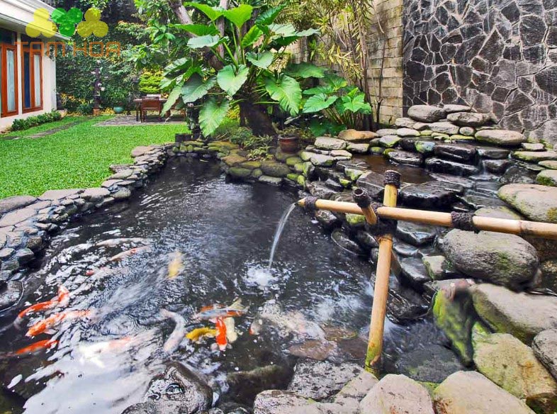 Hồ cái Koi Mini thiết kế dòng chảy độc đáo