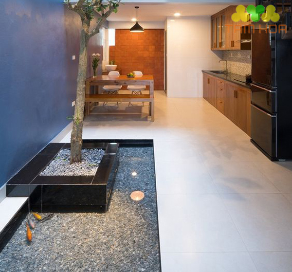 Hồ cái Koi Mini trong nhà