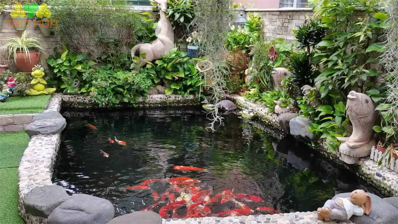 Hồ cái Koi Mini điều hòa không khí ngôi nhà
