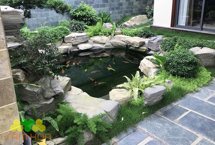 Hồ cá Koi ngoài trời chi phí vừa