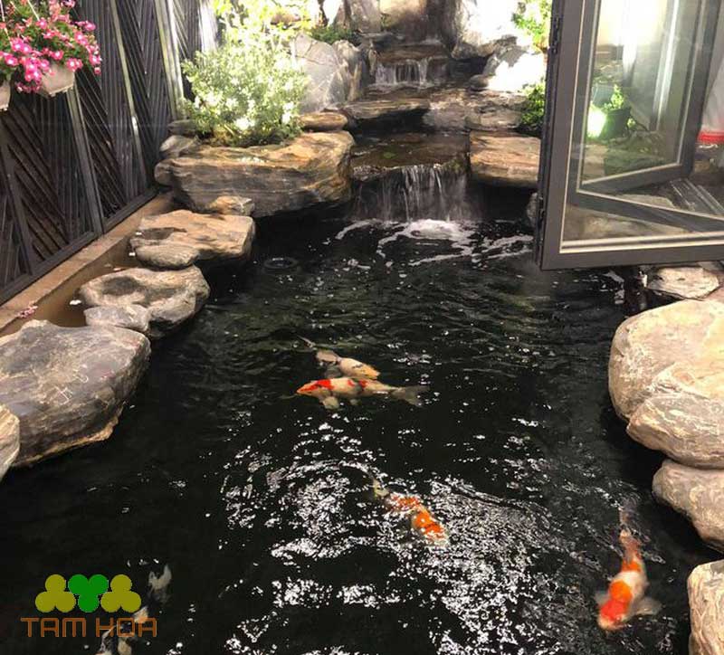 Hồ cá Koi mang đến tinh thần tốt cho các thành viên
