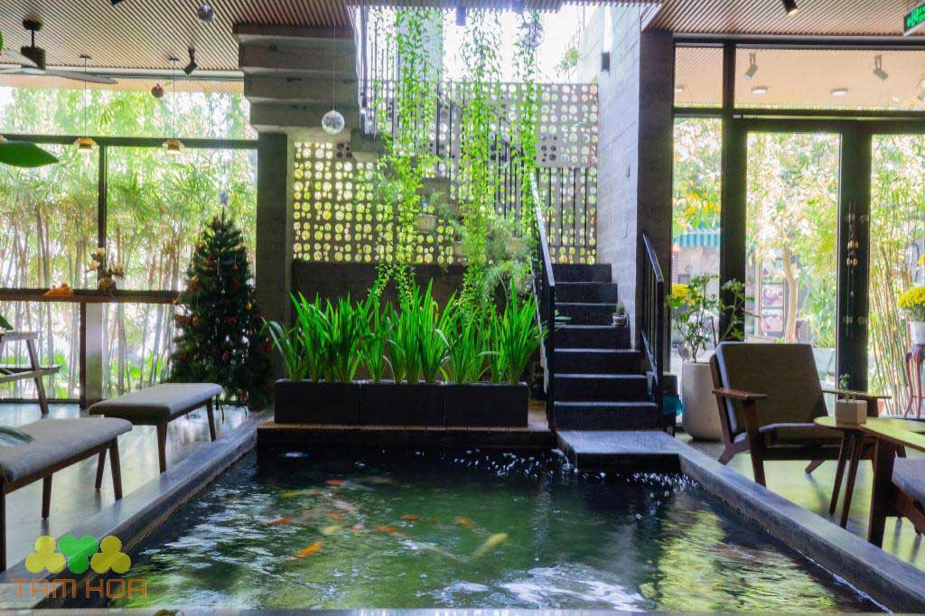 Hồ cá Koi trong nhà tạo không gian thoáng mát sạch sẽ