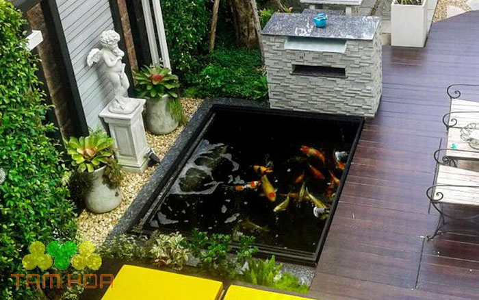 Đặc tính của cá Koi là thích đào bới
