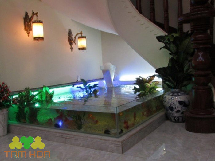 Hồ cá Koi trong nhà tận dụng gầm cầu thang