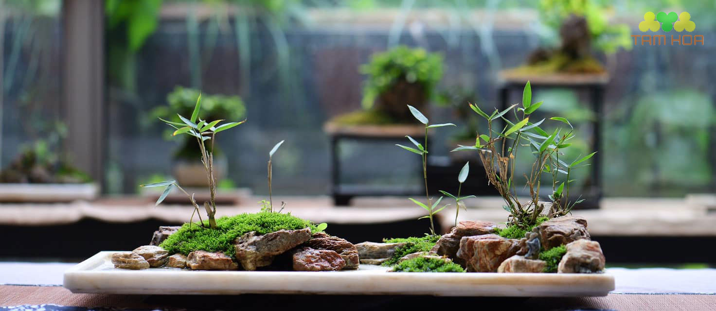 Hòn non bộ mini đẹp, giá tốt