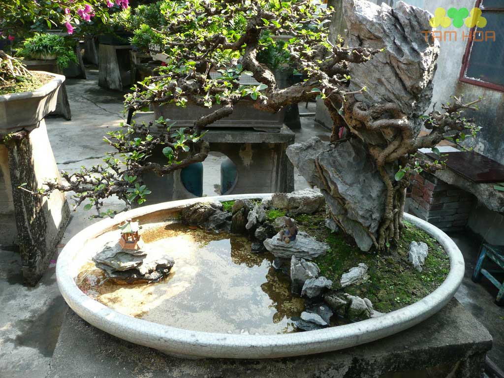 Hòn non bộ mini đơn giản, giá tốt