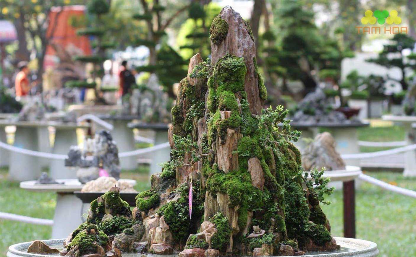 Hòn non bộ mini trang trí cảnh quan