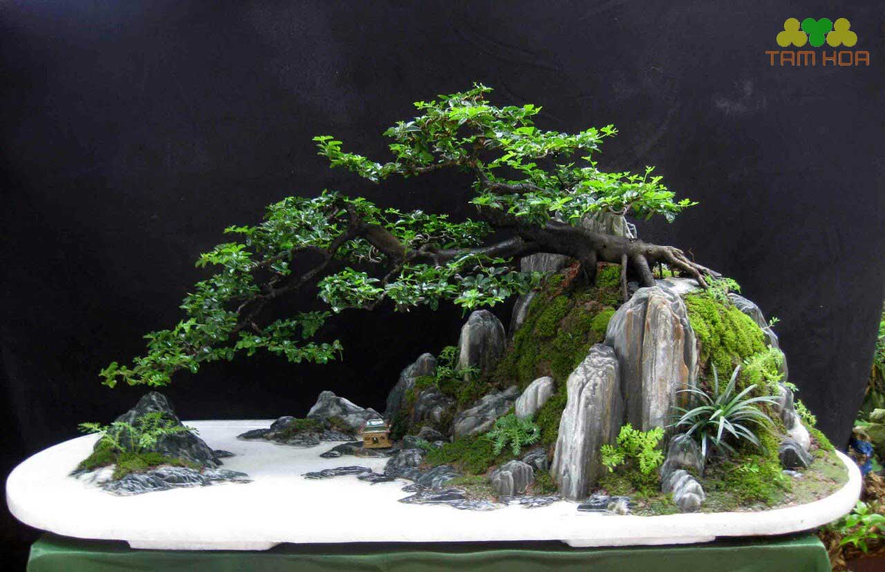 Hòn non bộ mini đẹp, rêu phong