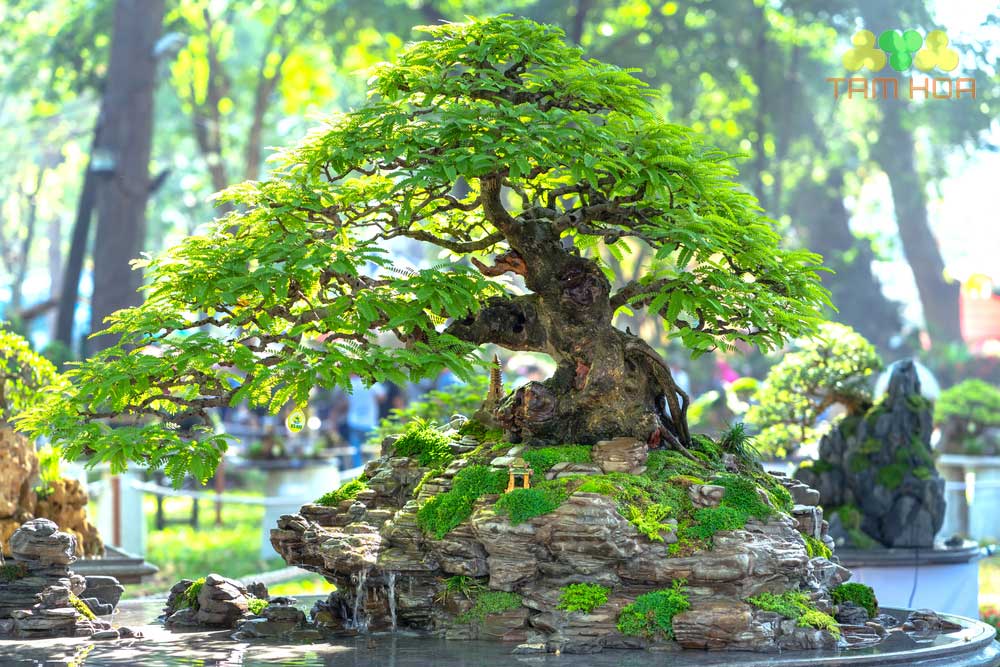 Hòn non bộ mini xanh