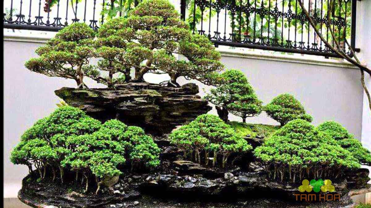 Hòn non bộ đơn giản trồng cây xanh