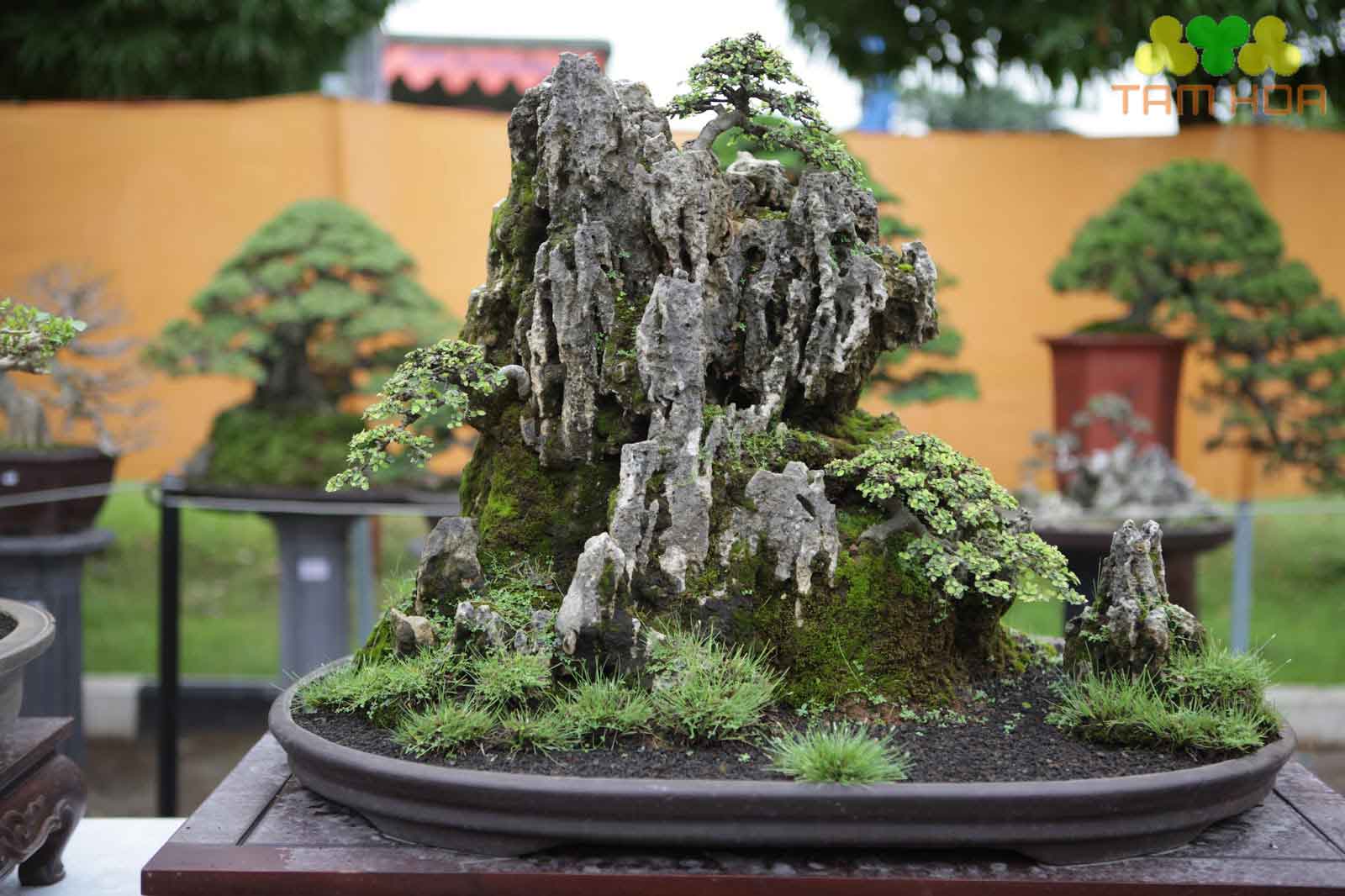 Hòn non bộ mini đơn giản để bàn