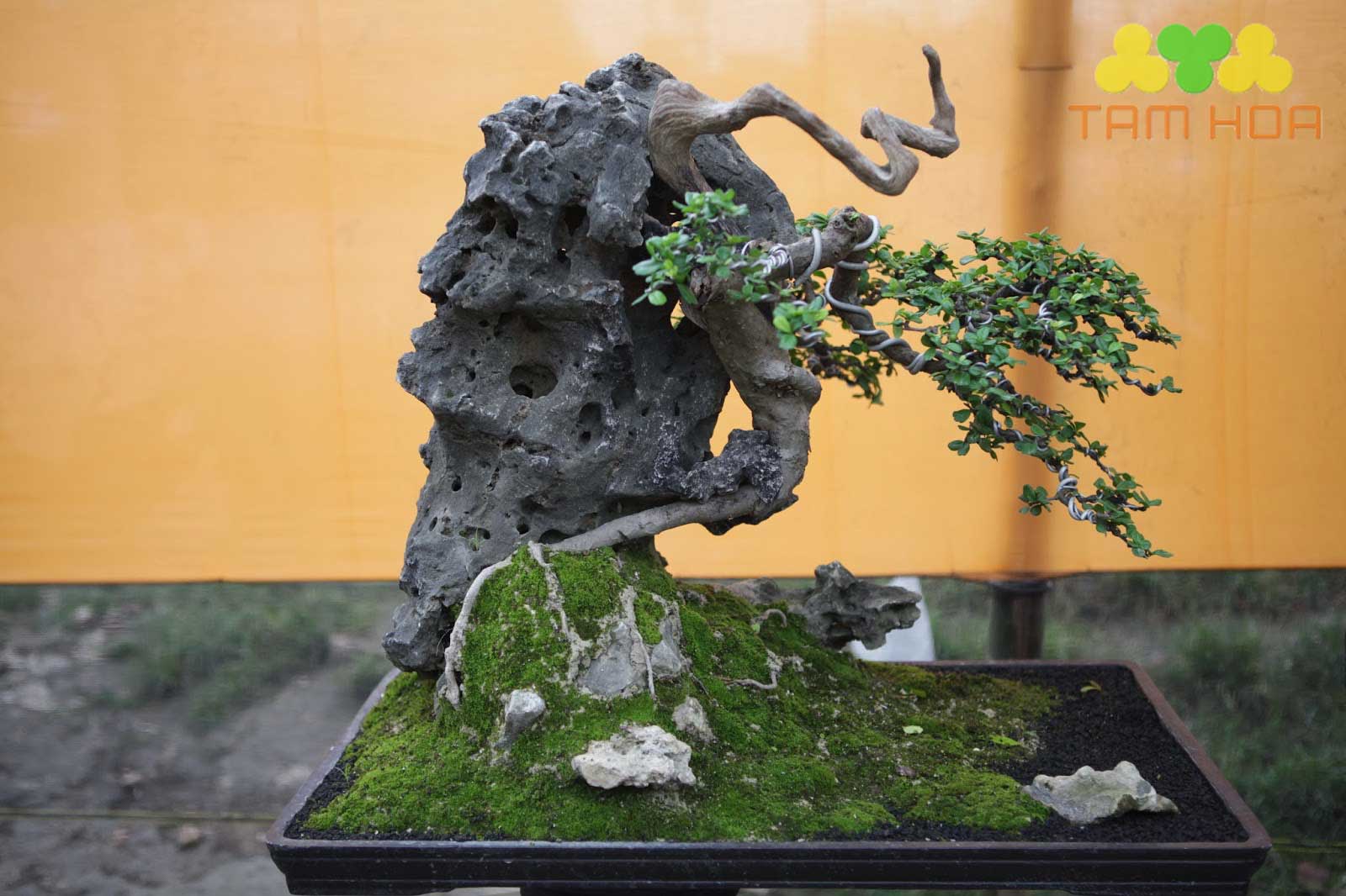 Hòn non bộ đơn giản nhất trụ