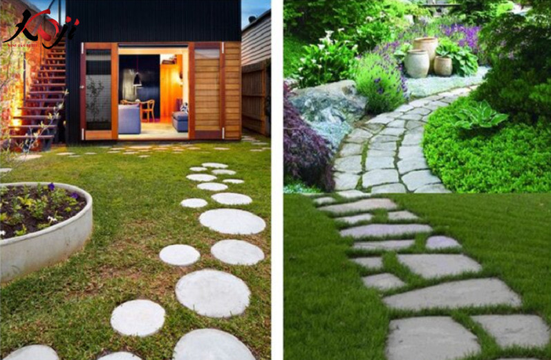 cách tưới cây vào mùa mưa