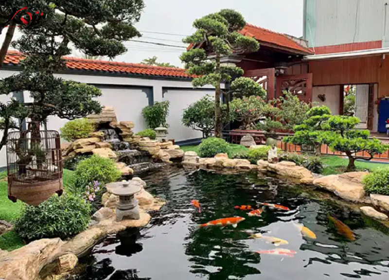 Tổng hợp các mẫu hồ cá koi hình bán nguyệt đẹp