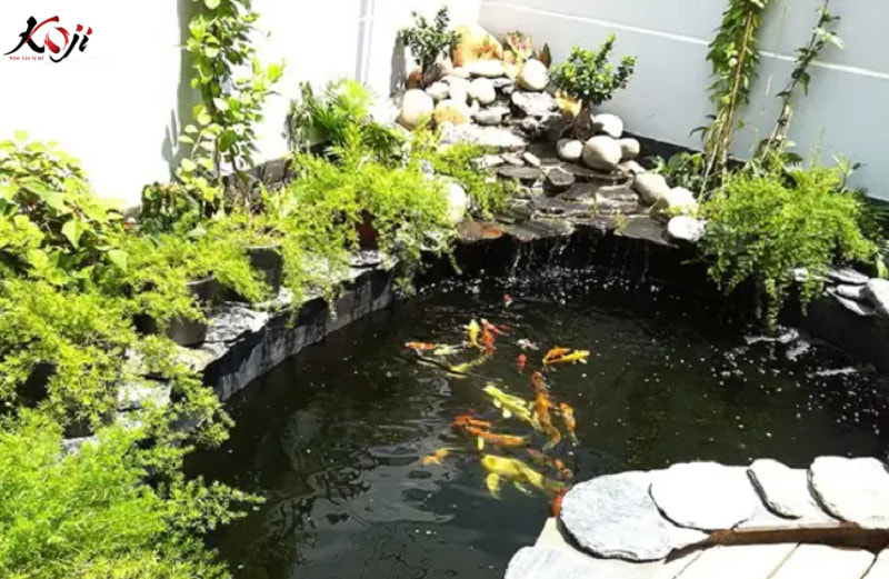 Tổng hợp các mẫu hồ cá koi hình bán nguyệt đẹp