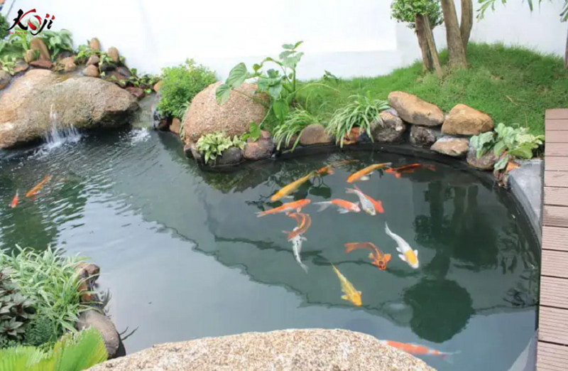 Tiêu chuẩn kích thước