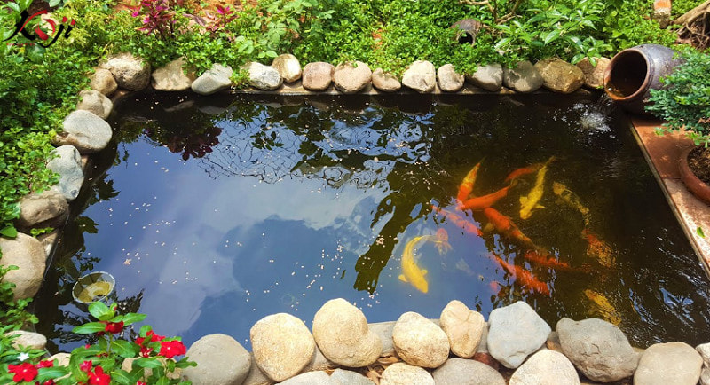 thiet-ke-ho-ca-koi