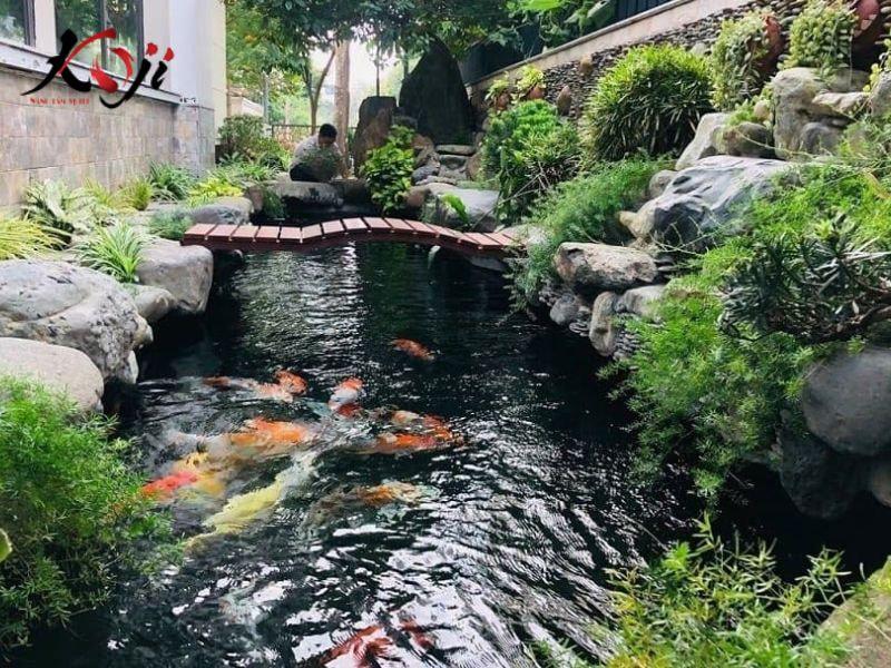 Hồ cá koi tự nhiên