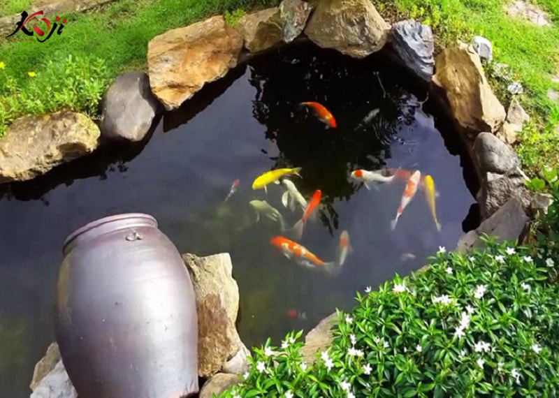 Xây dựng bể cá koi từ những tảng đá tự nhiên