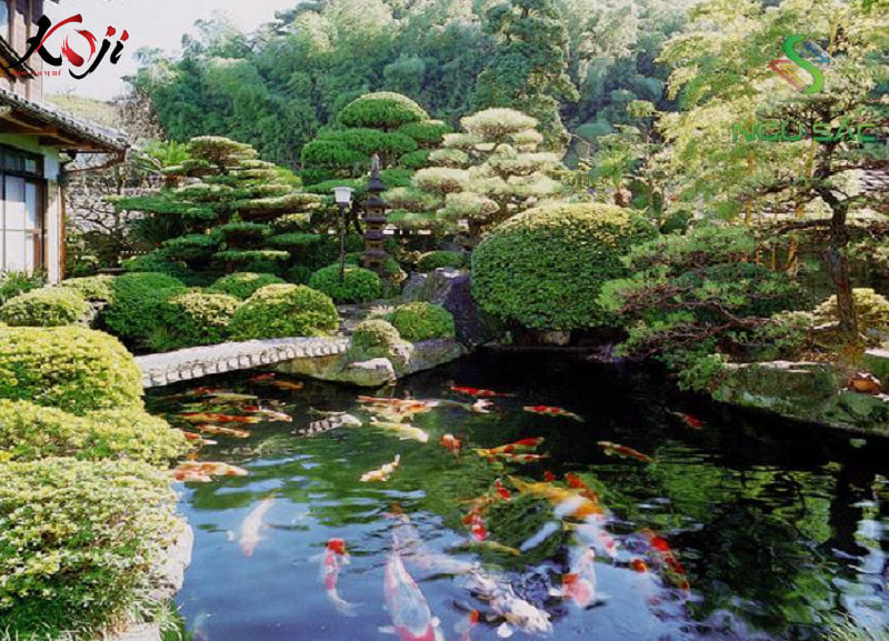 trồng cây thì đây là lựa chọn hoàn hảo