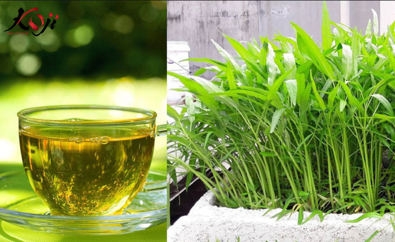 nước vo gạo tưới rau