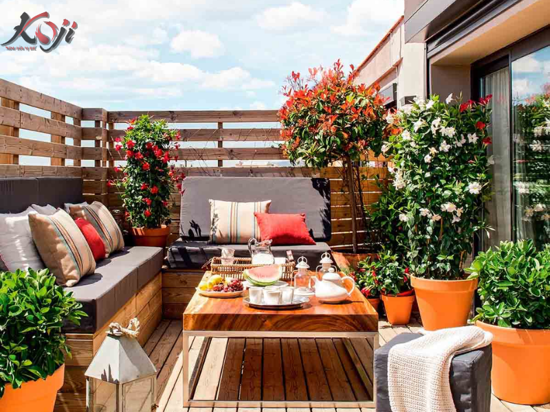 thiết kế sân vườn