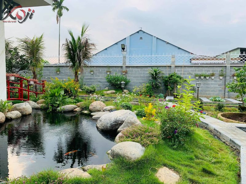 TOP 3 ĐỊA CHỈ MUA CÁ KOI TỐT NHẤT HÀ NỘI