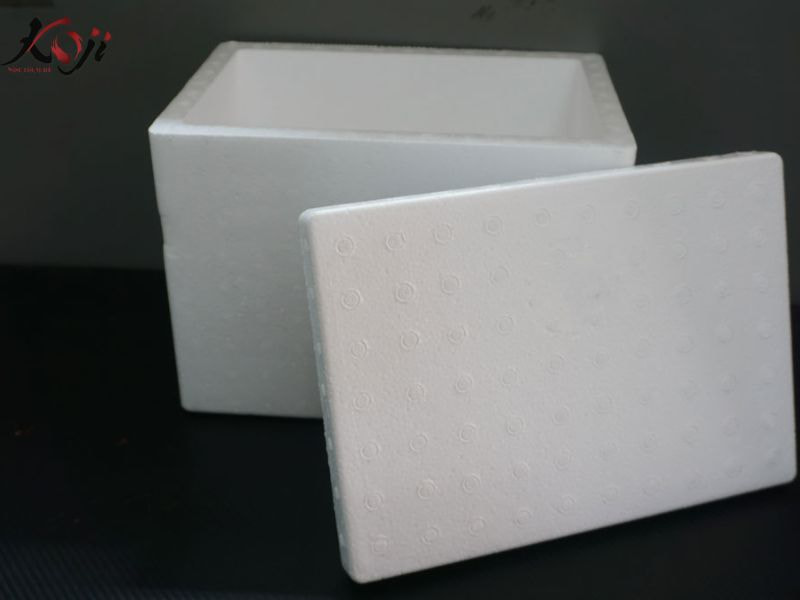 cách nuôi cá Koi trong thùng xốp