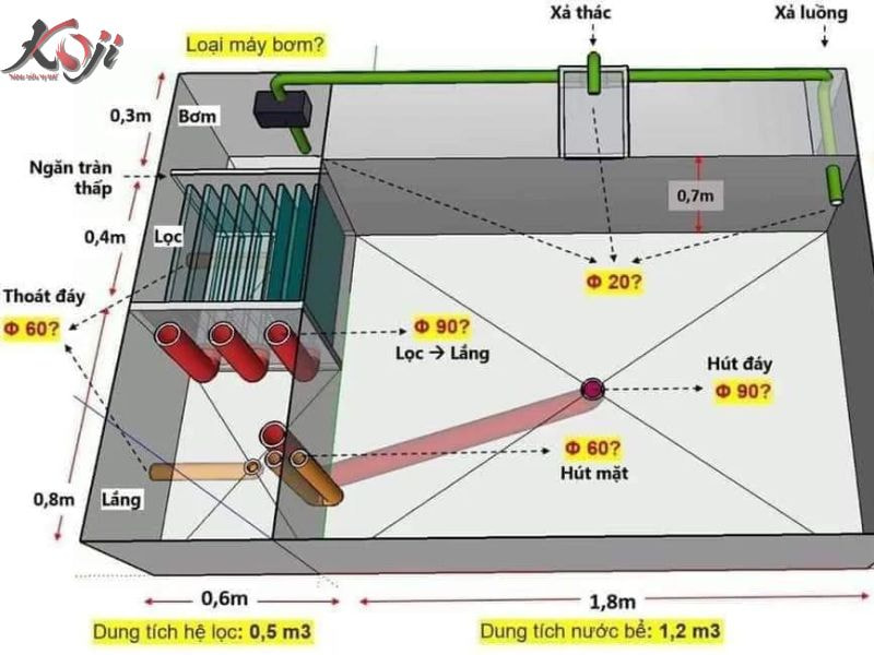 Cách thả cá Koi mới