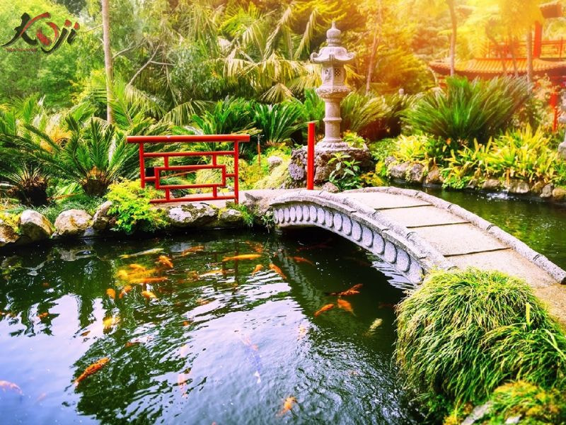 chi phí xây hồ cá Koi
