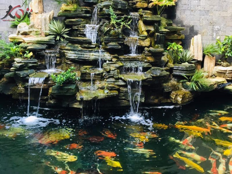 chi phí xây hồ cá Koi