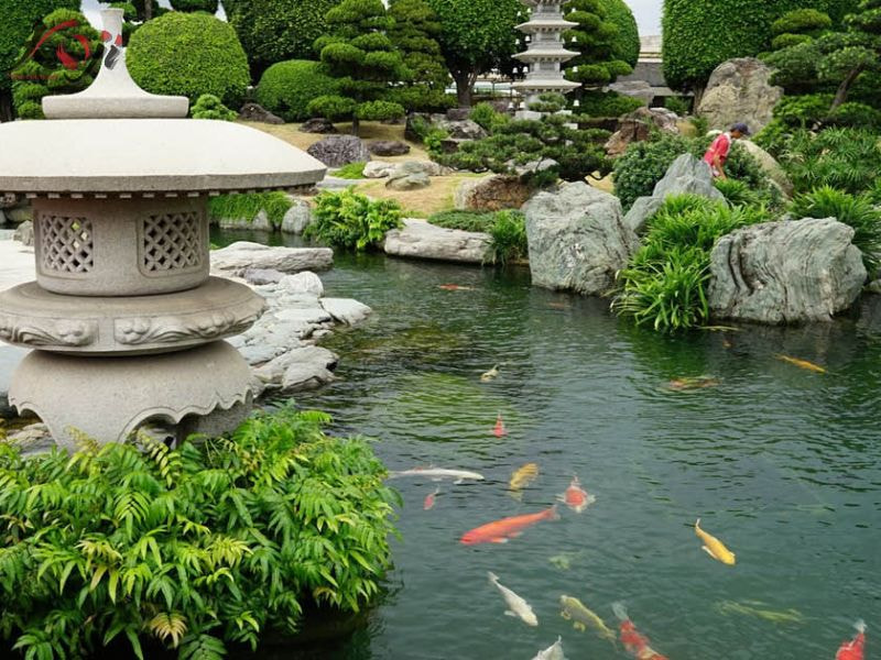 chi phí xây hồ cá Koi