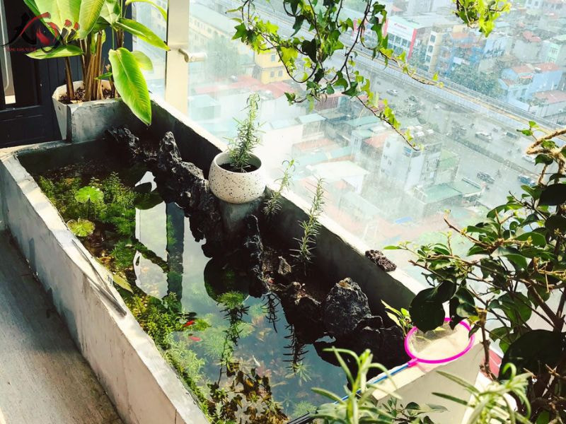 hồ cá Koi sân thượng