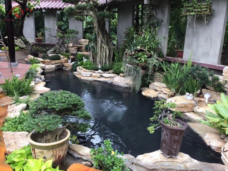 Mẫu hồ cá Koi sân vườn