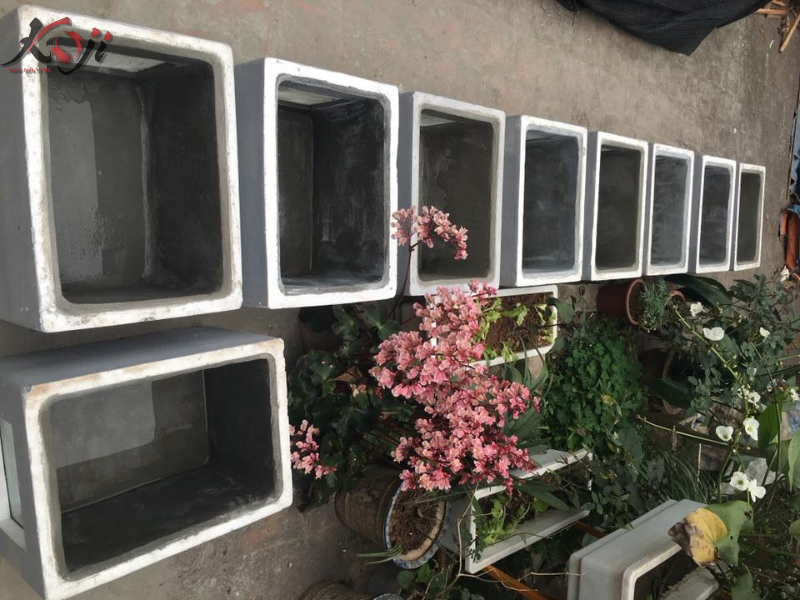 Nuôi cá trong thùng xốp