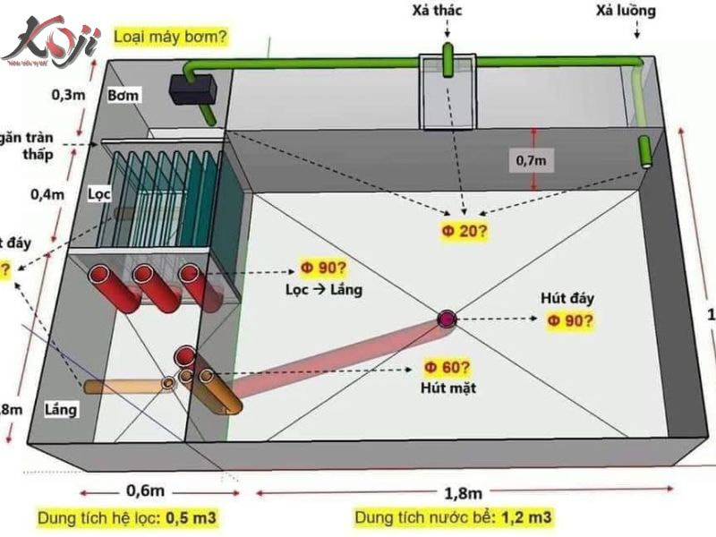 Sai lầm khi nuôi cá Koi