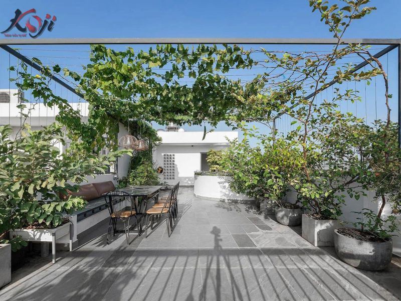 tiểu cảnh sân vườn chung cư