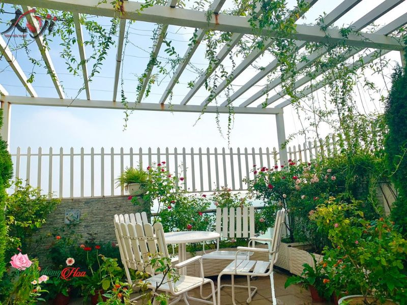 Thiết kế sân nhà đẹp đơn giản