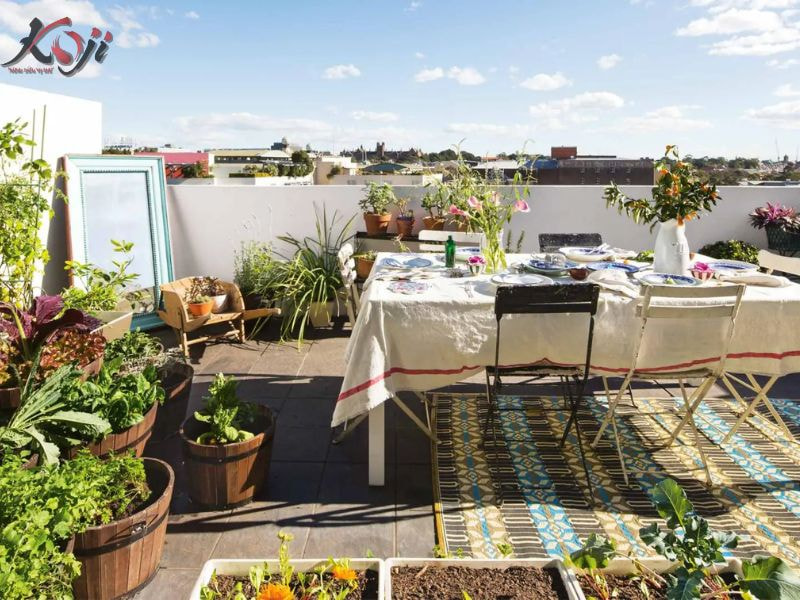 thiết kế sân vườn