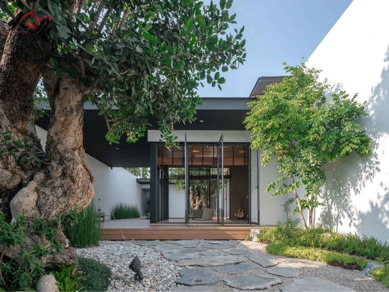 Thiết kế sân vườn nhà ống