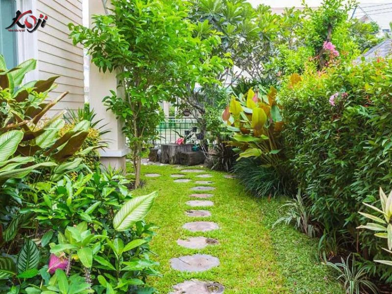 Thiết kế sân vườn nhà ống