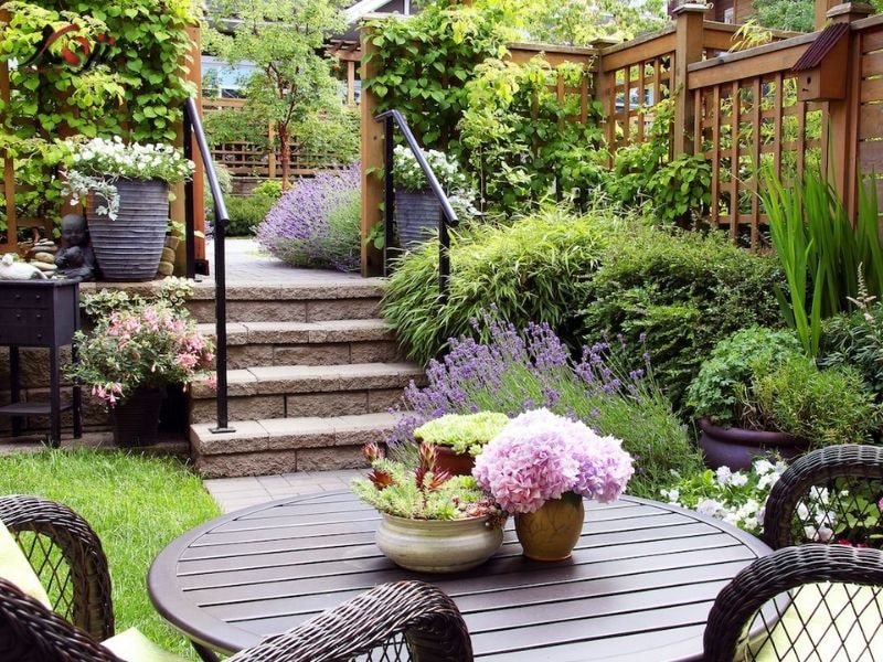 Thiết kế sân vườn nhà ống