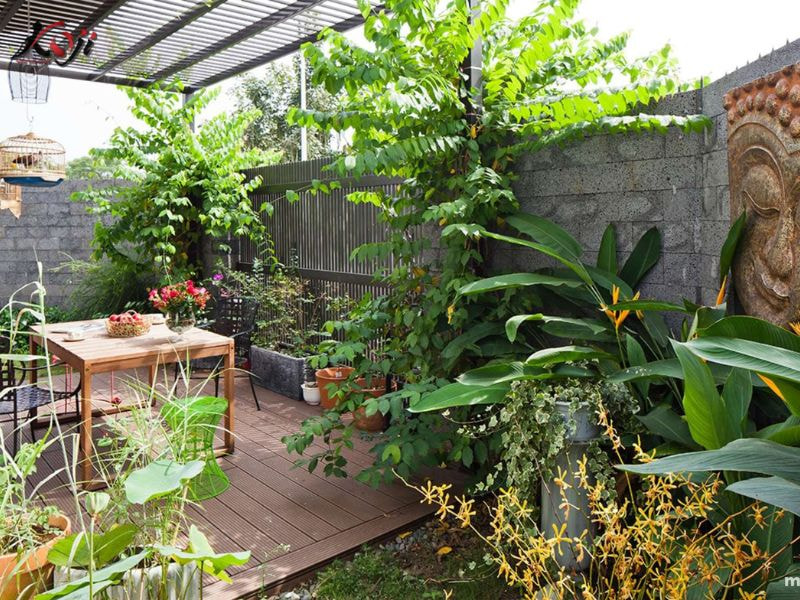 Thiết kế sân vườn nhà ống