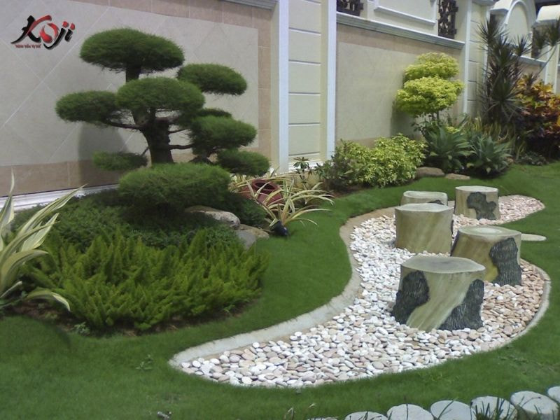 Thiết kế sân vườn nhà ống