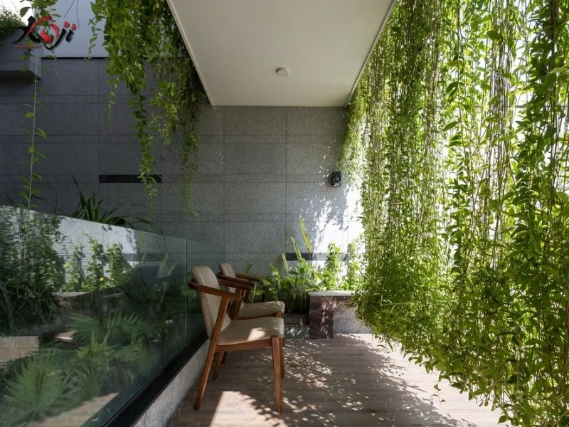 Thiết kế sân vườn nhà ống