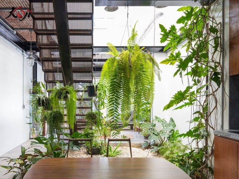 Thiết kế sân vườn nhà ống